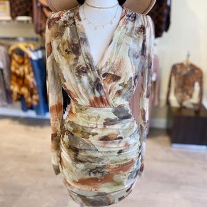 Fall ruched mesh dress NWOT